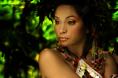 800full-krystal-vee-19