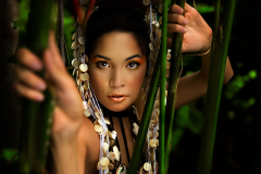 800full-krystal-vee-21